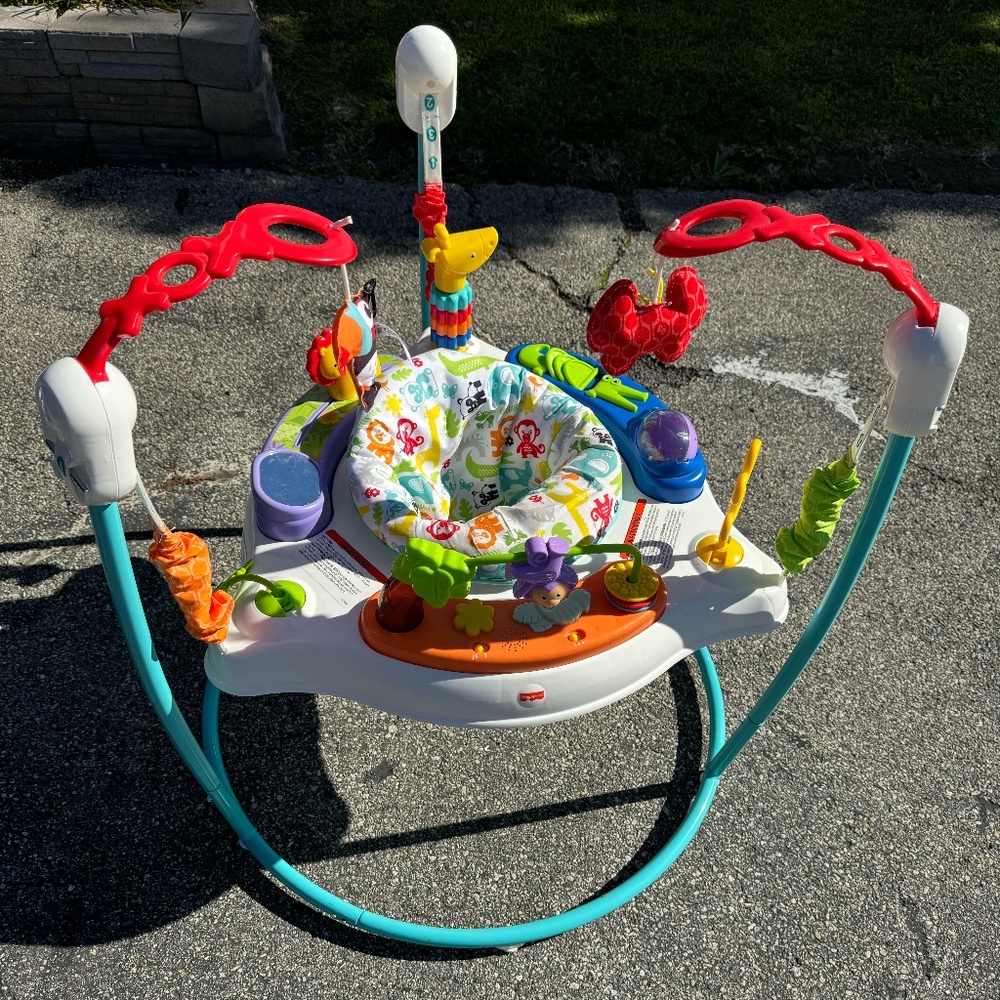 Fisher-Price Baby Bouncer Animal Activity Jumperoo With Music Lights Sounds